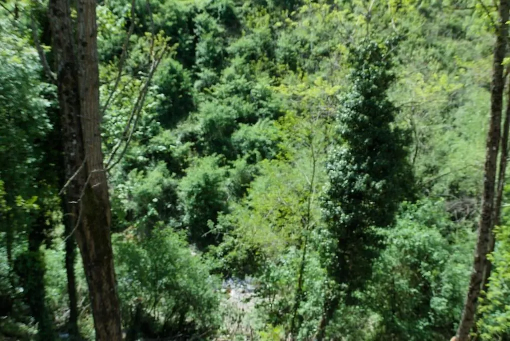 Casa Foresto, Vallombrosa, Wifi, Pet Friendly Tosi Apartment