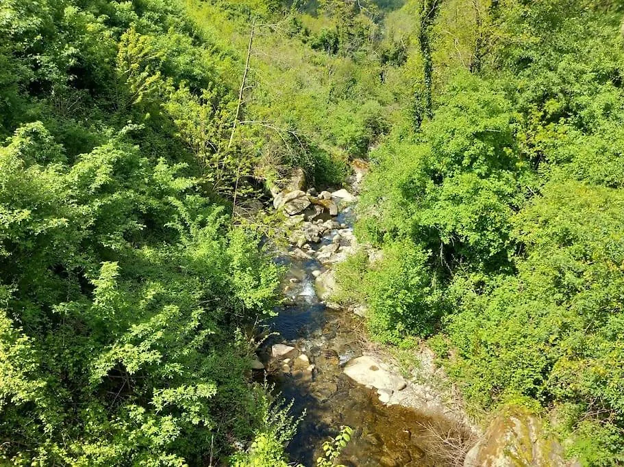 Casa Foresto, Vallombrosa, Wifi, Pet Friendly Tosi